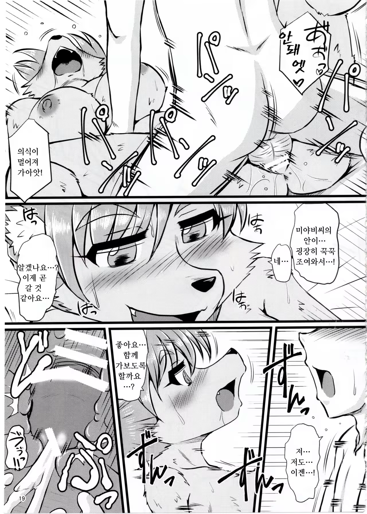 Content 1008251 - 18 페이지