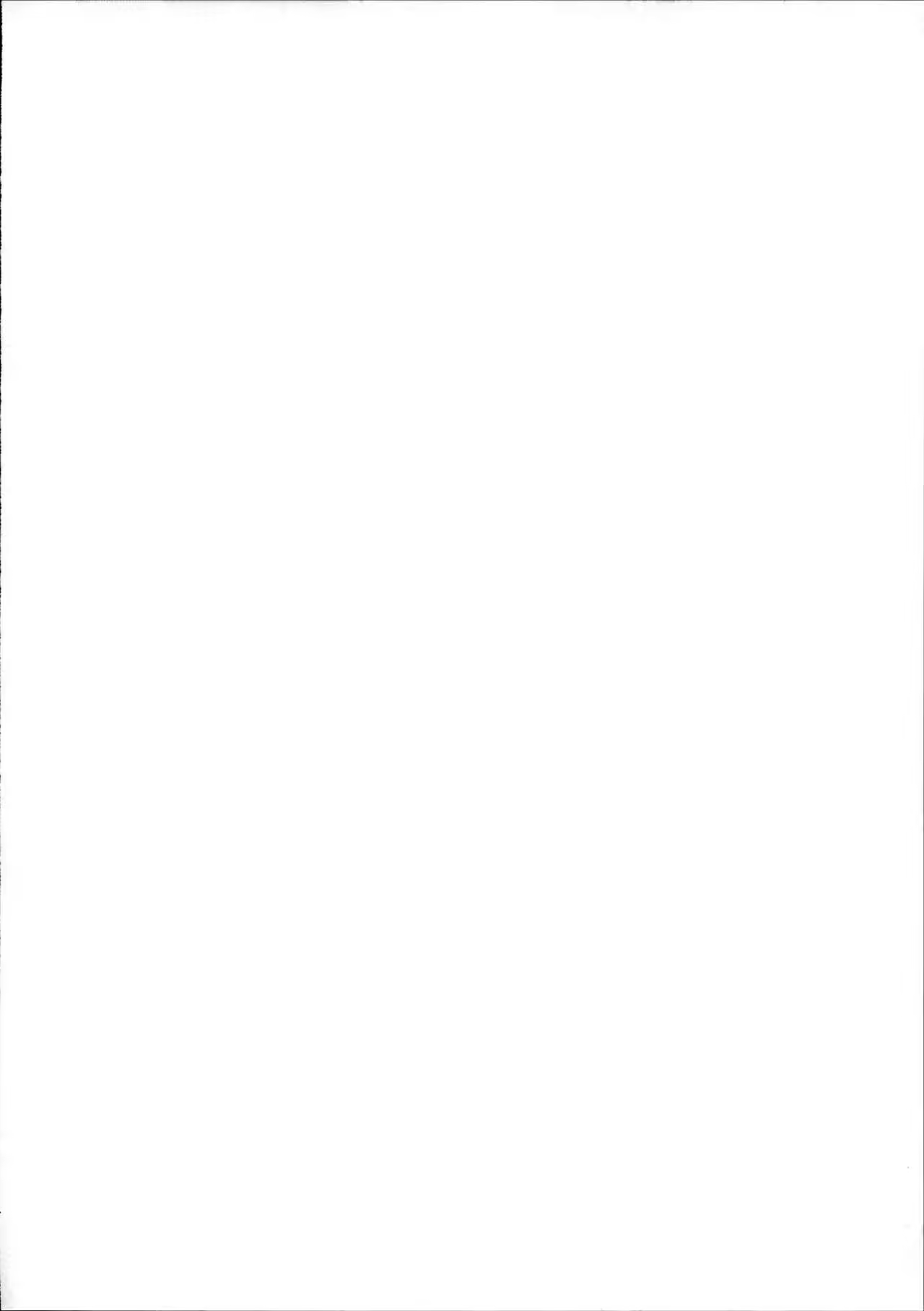 Content 1010905 - 4 페이지