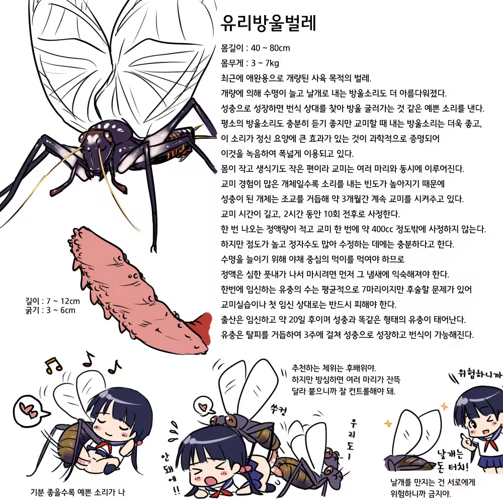 Content 1012319 - 4 페이지