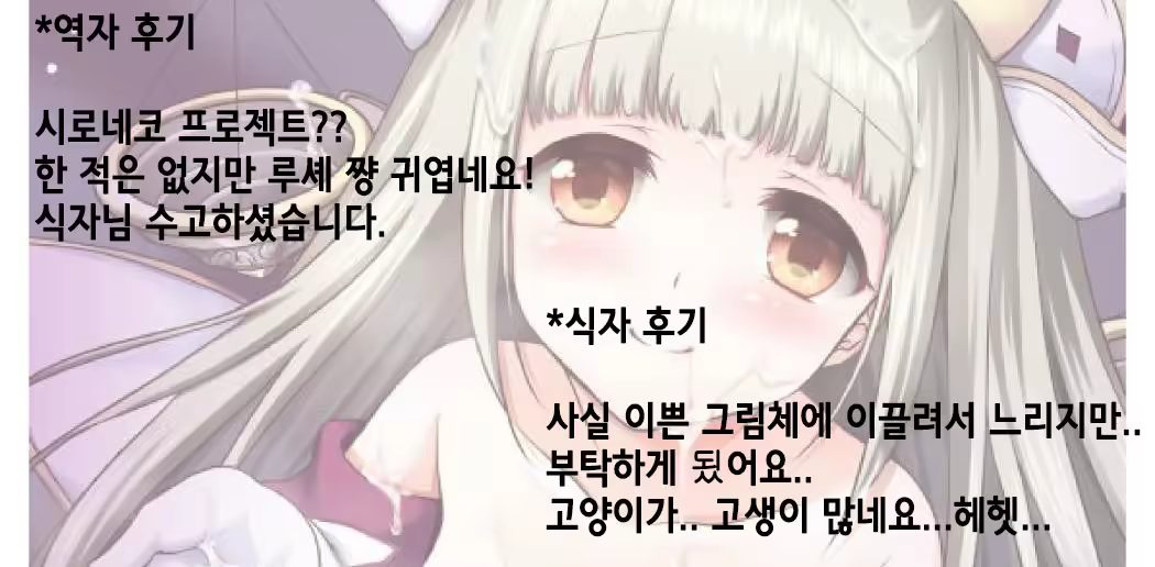 Content 1023327 - 29 페이지