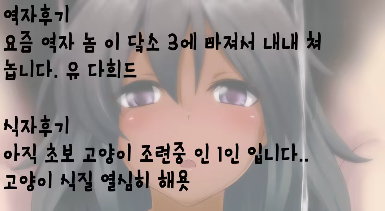 Content 1026514 - 27 페이지