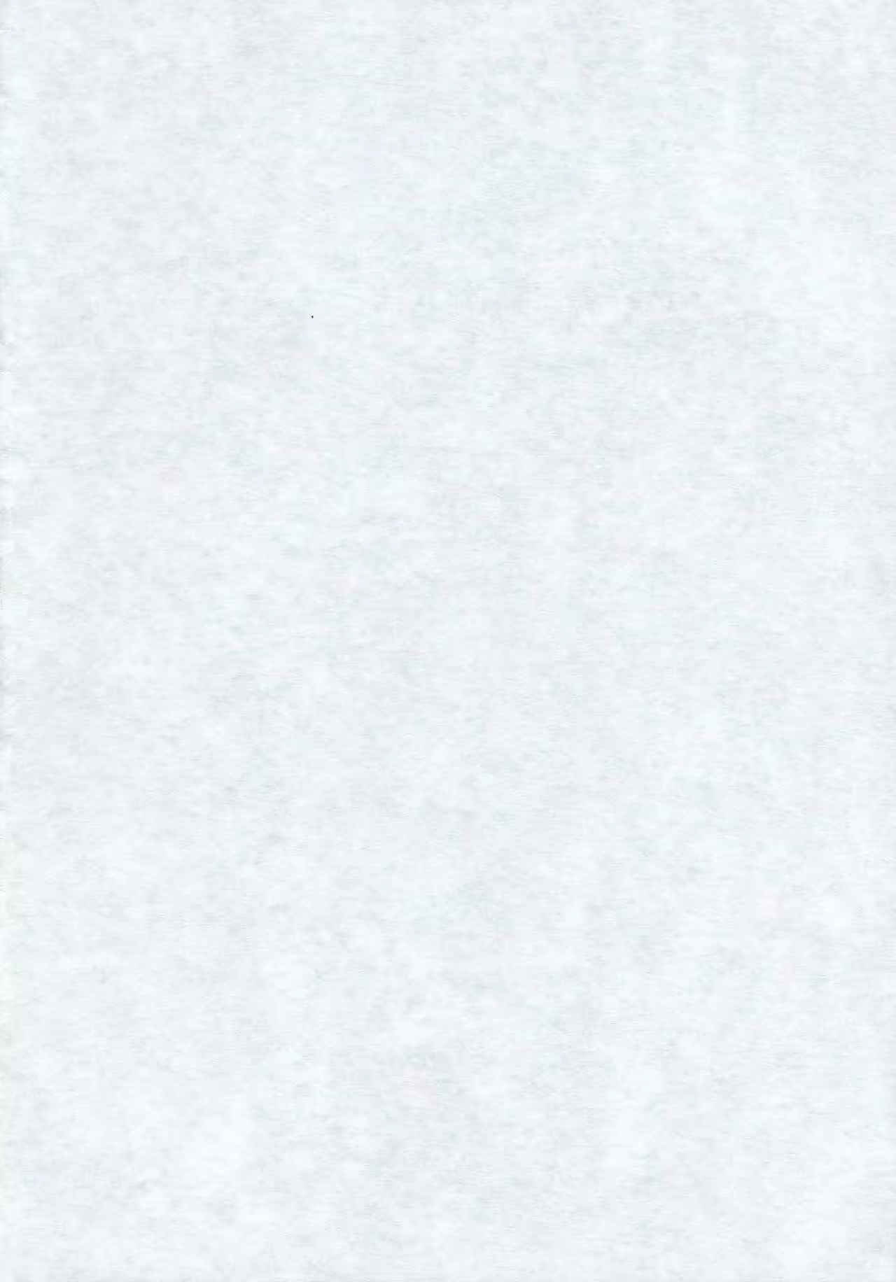 Content 1029363 - 2 페이지