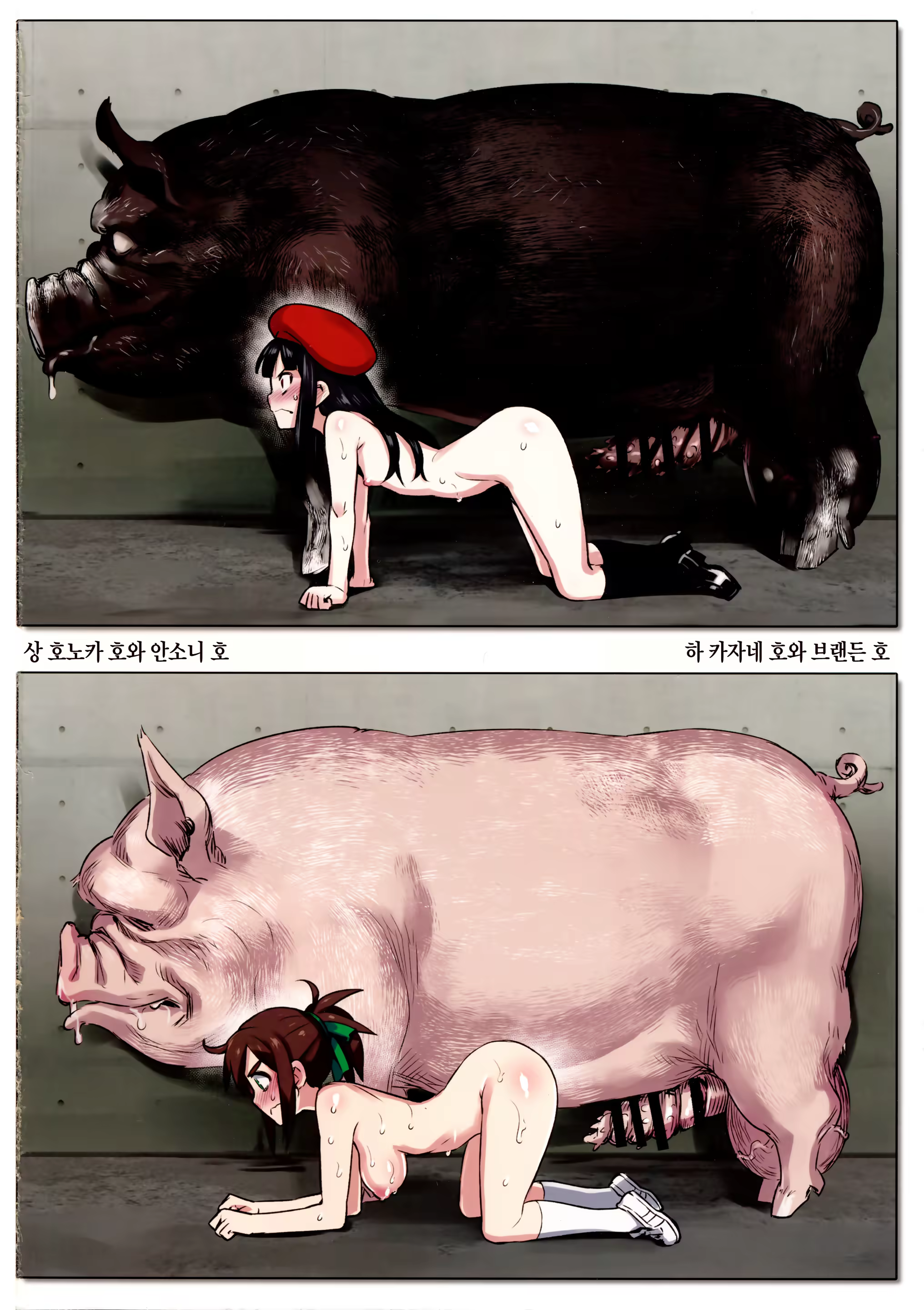 Content 1032365 - 2 페이지