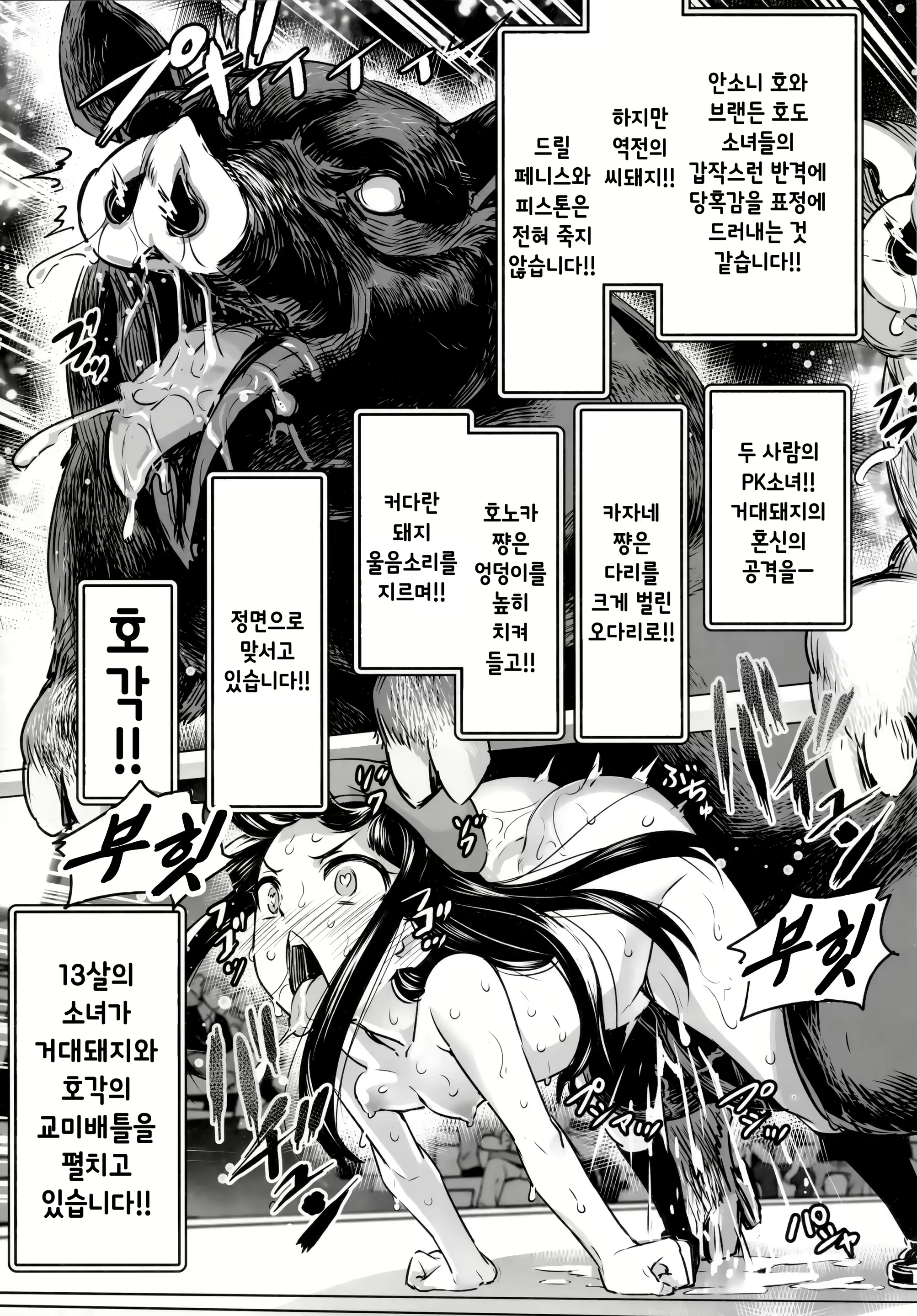 Content 1032365 - 53 페이지