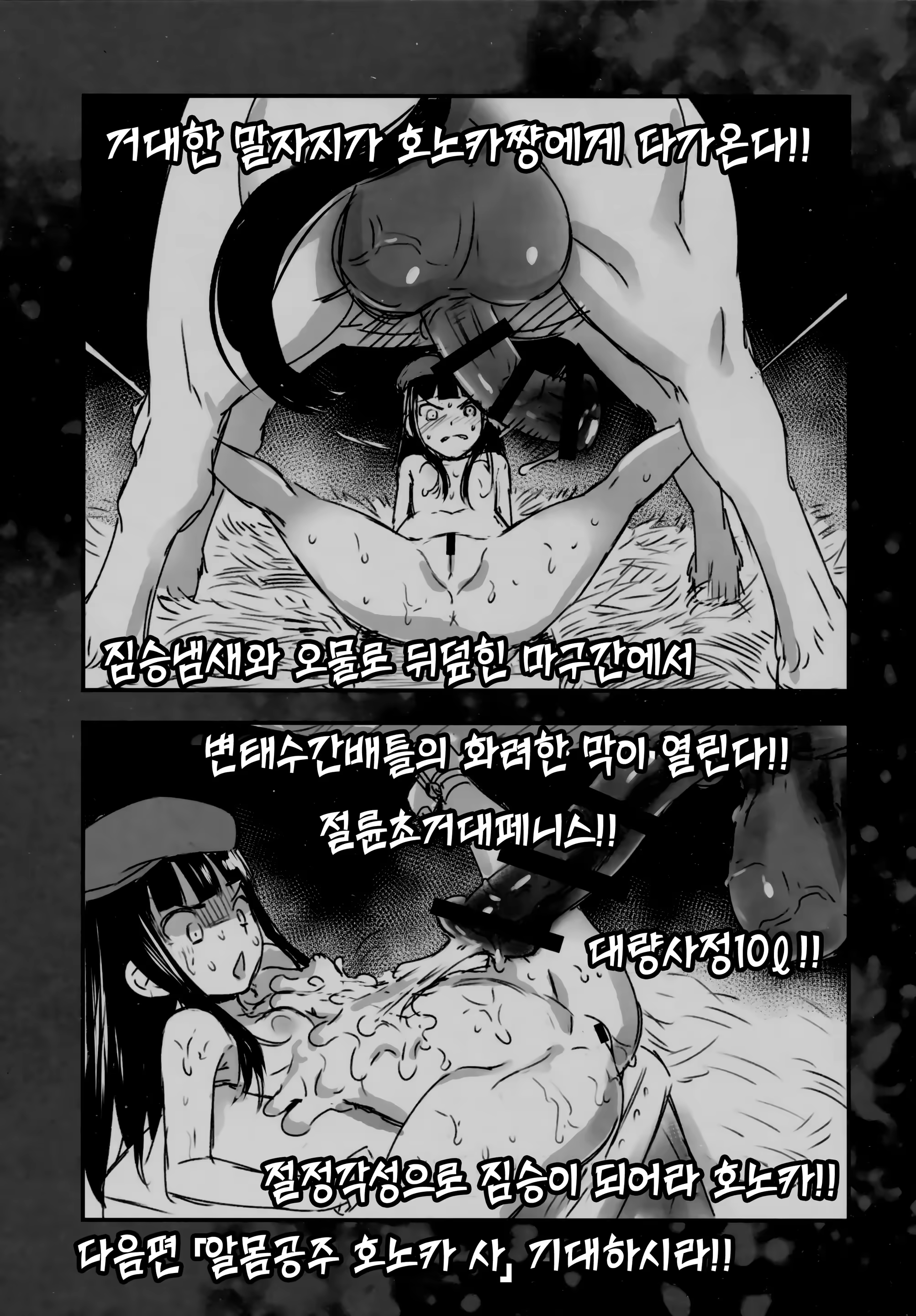 Content 1032365 - 66 페이지