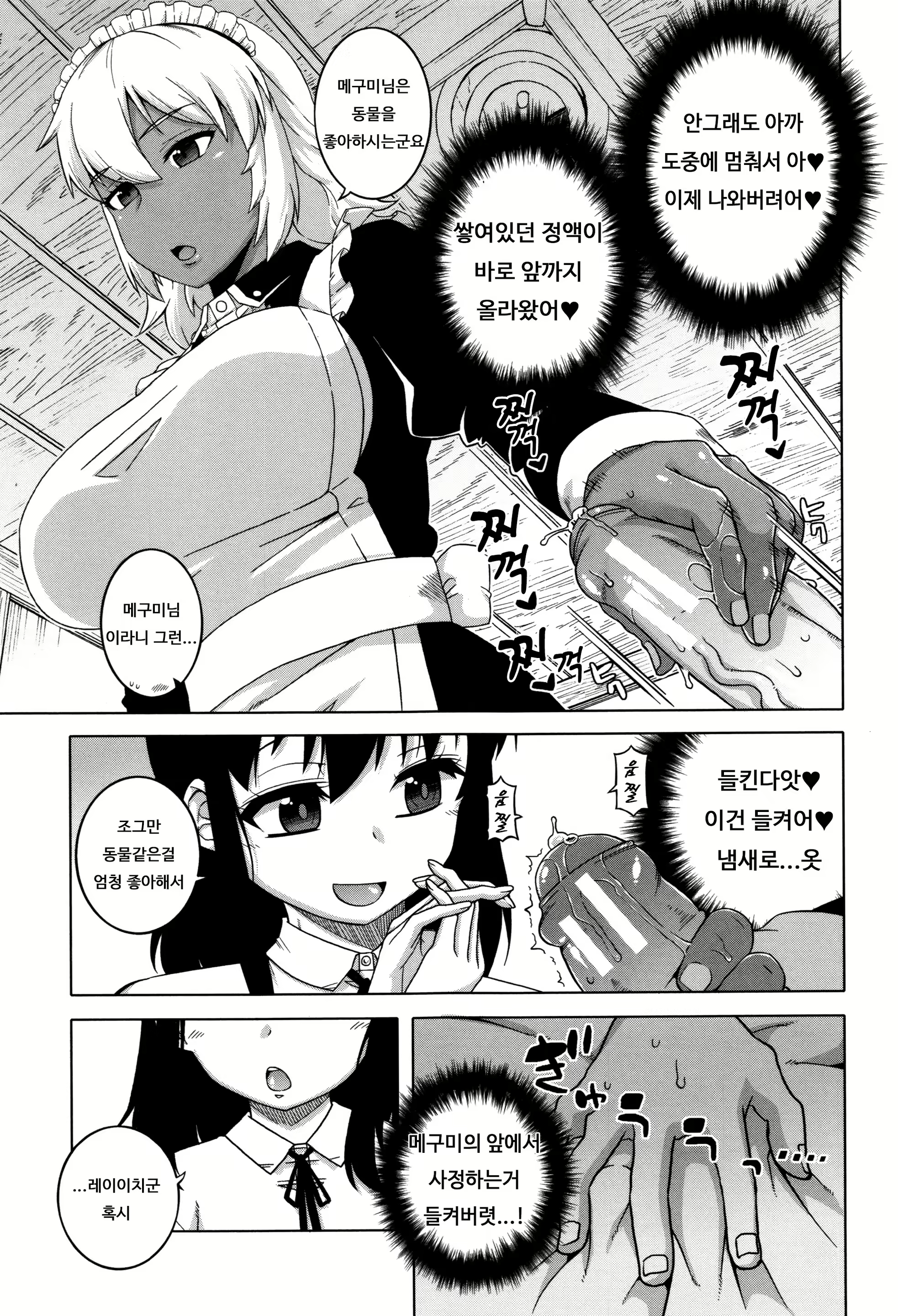 Content 1035723 - 49 페이지