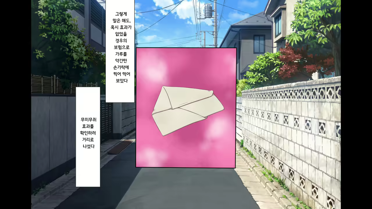 Content 1036780 - 5 페이지