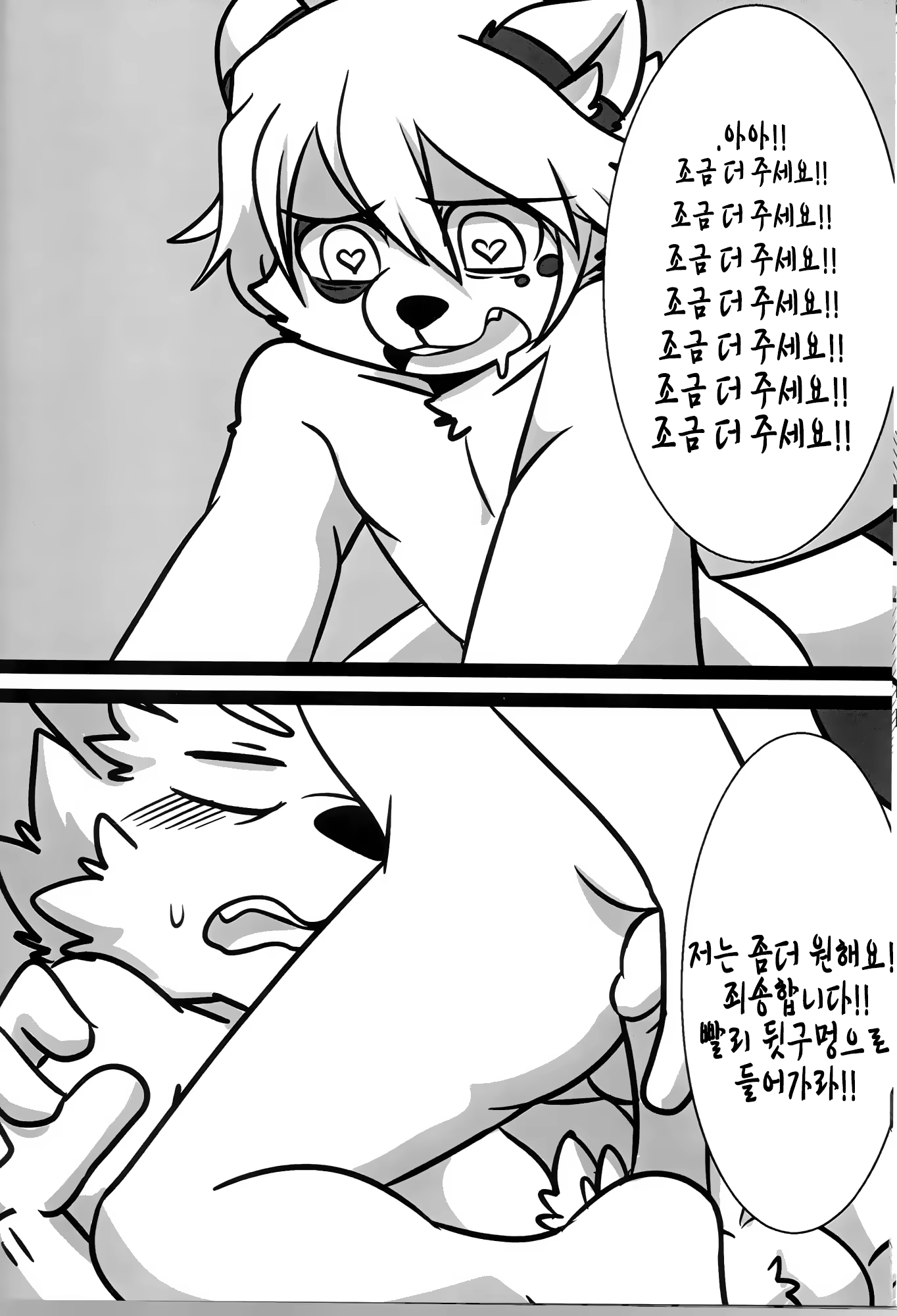 Content 1043882 - 15 페이지