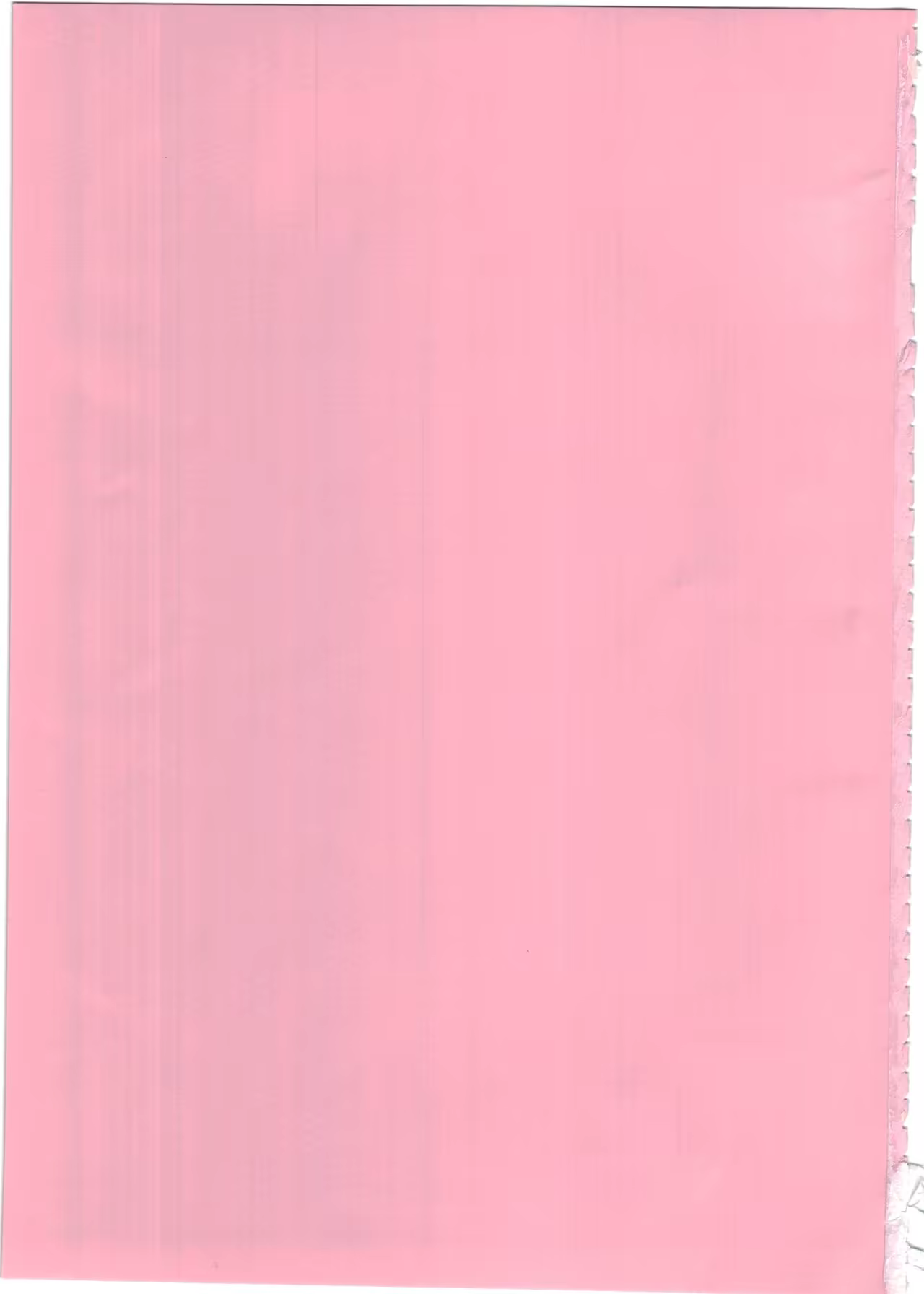 Content 1048877 - 4 페이지