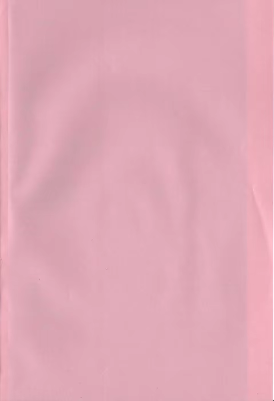 Content 1063830 - 5 페이지