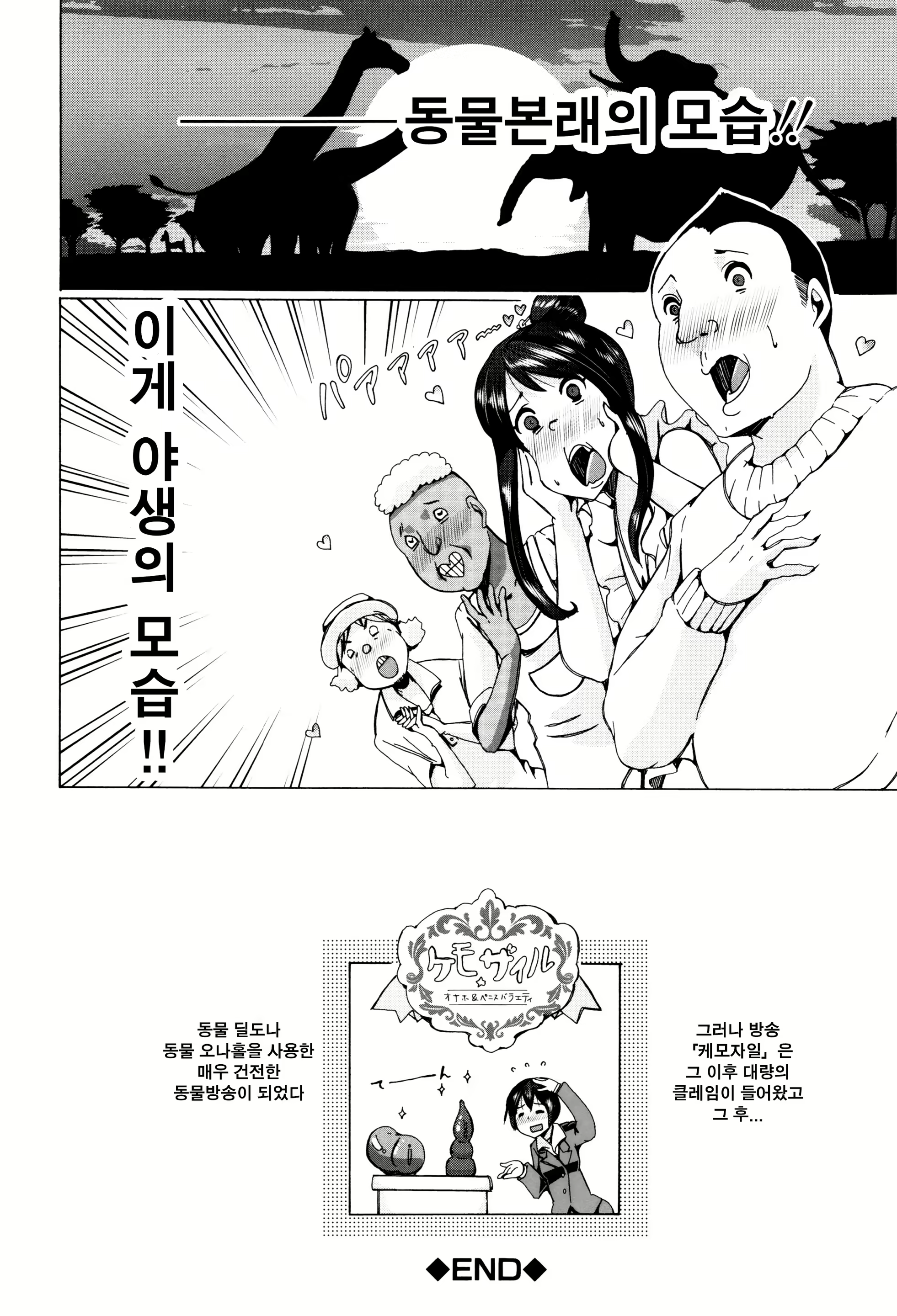 Content 1070017 - 201 페이지