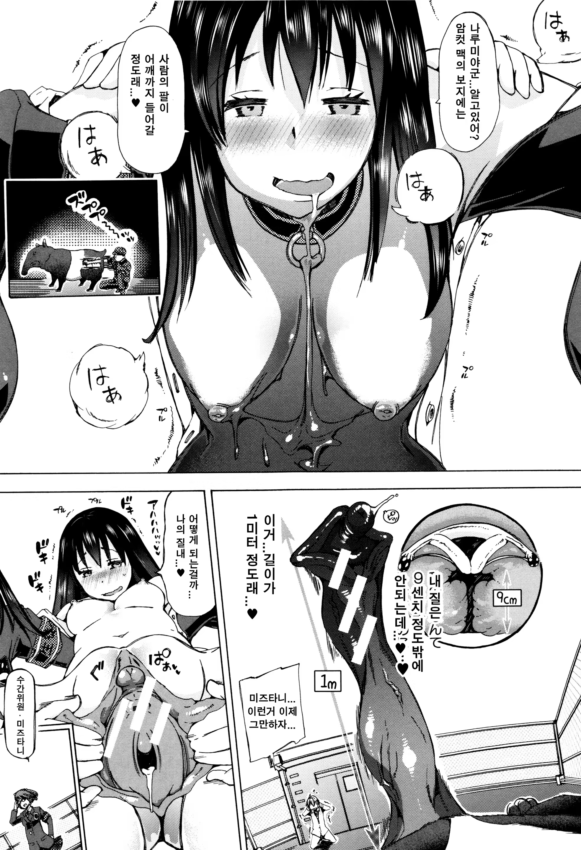 Content 1070017 - 34 페이지