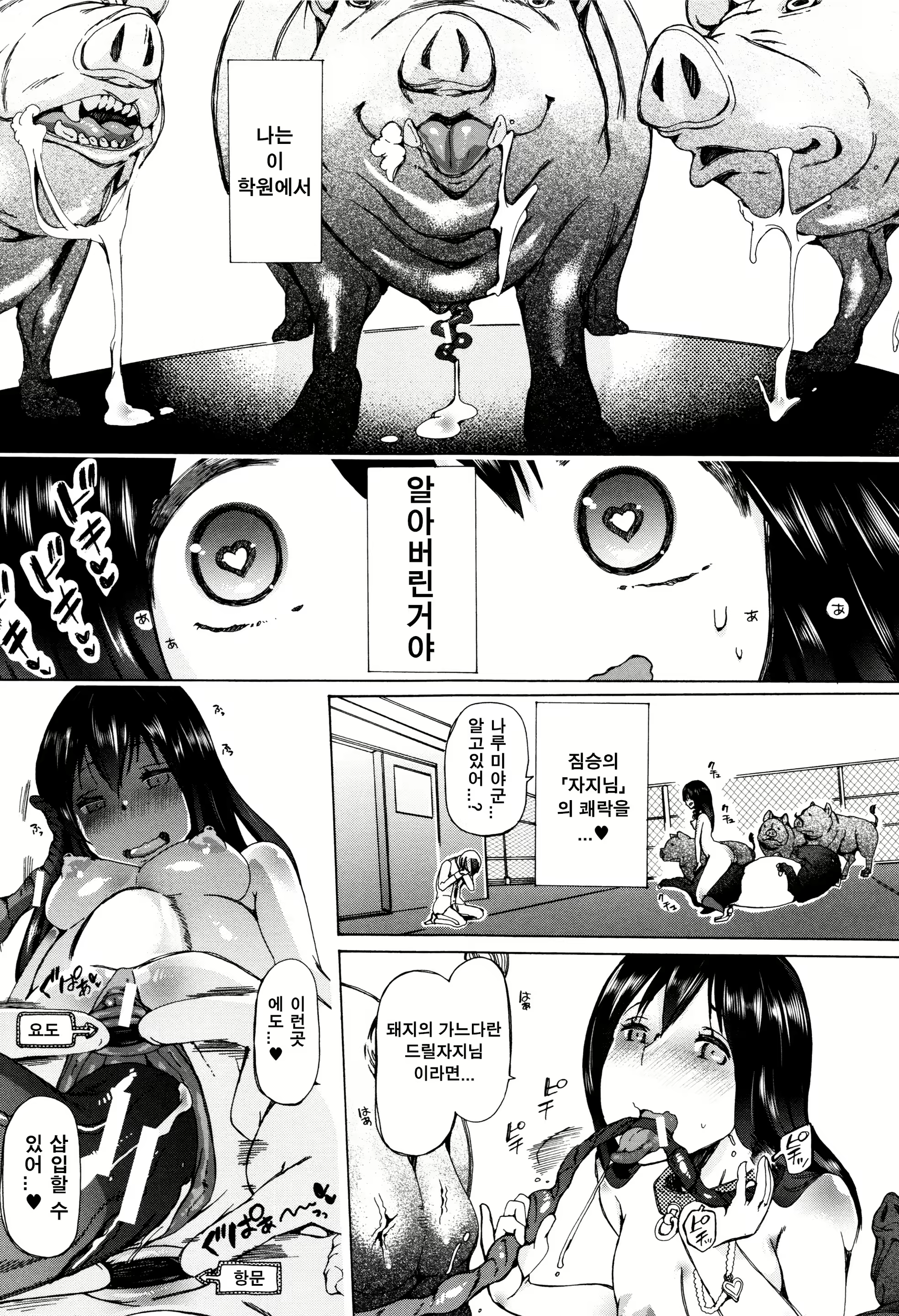 Content 1070017 - 42 페이지