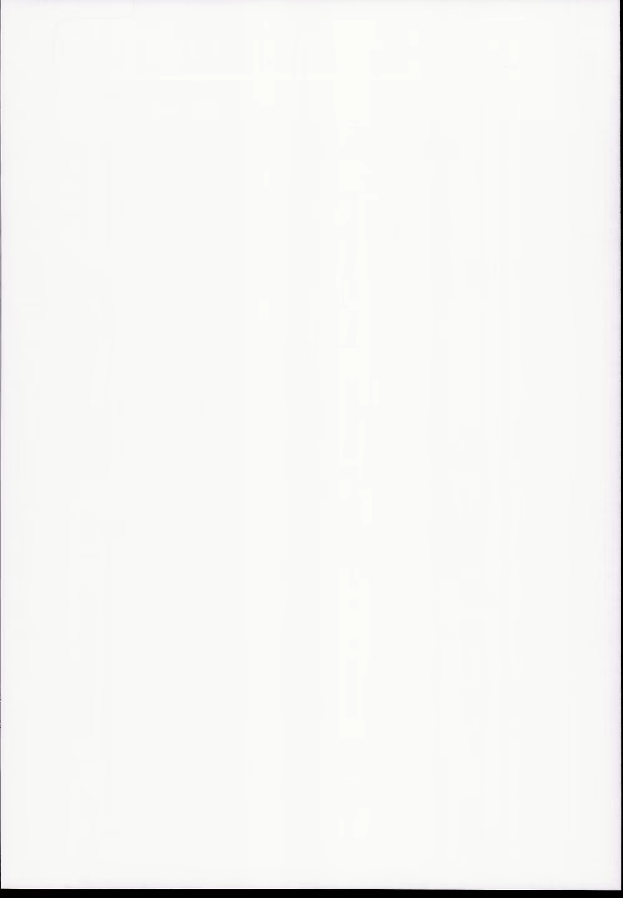 Content 1074753 - 2 페이지