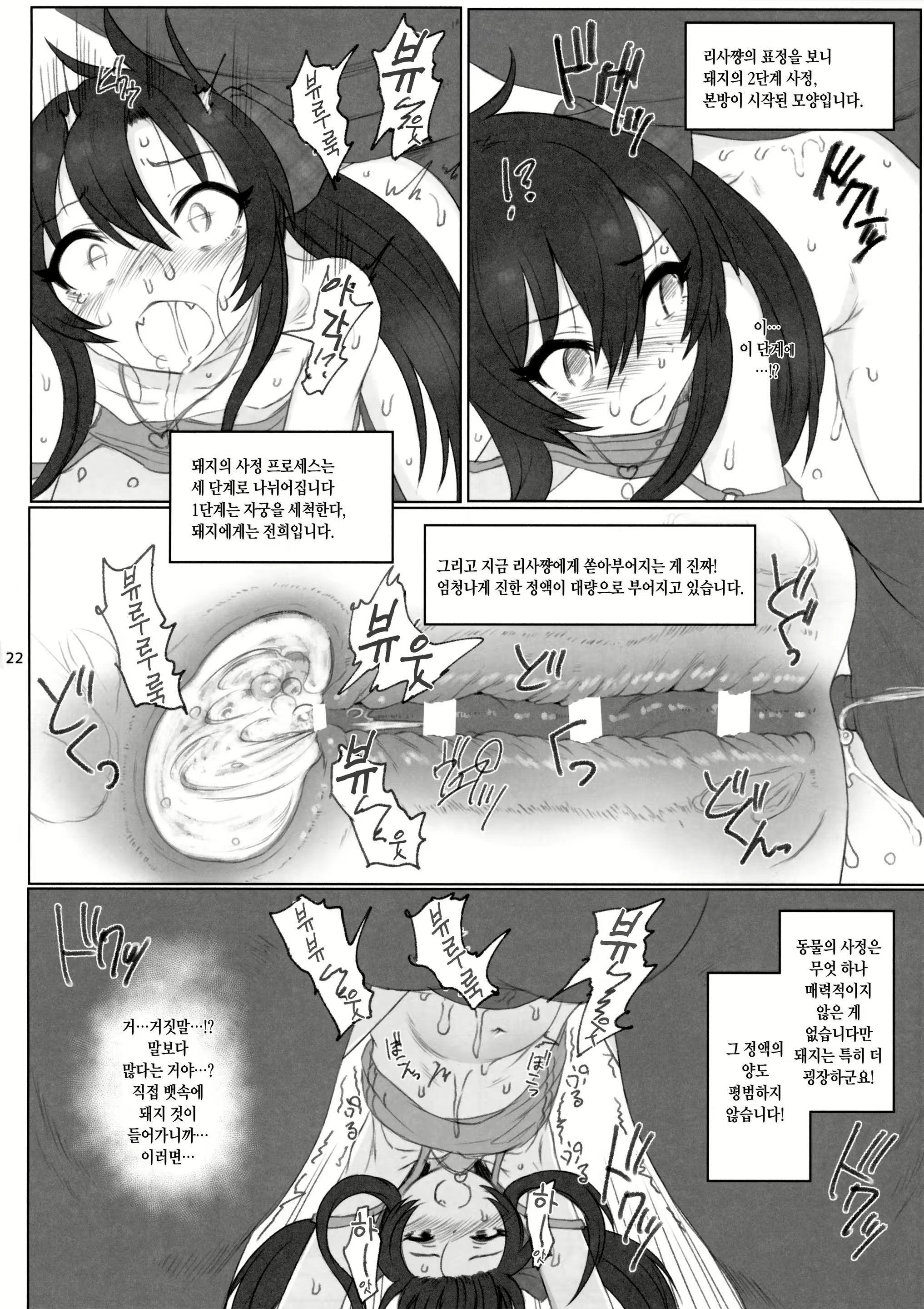 Content 1080452 - 21 페이지