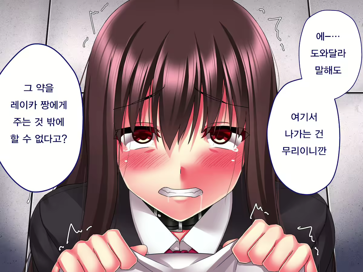 Content 1081649 - 134 페이지