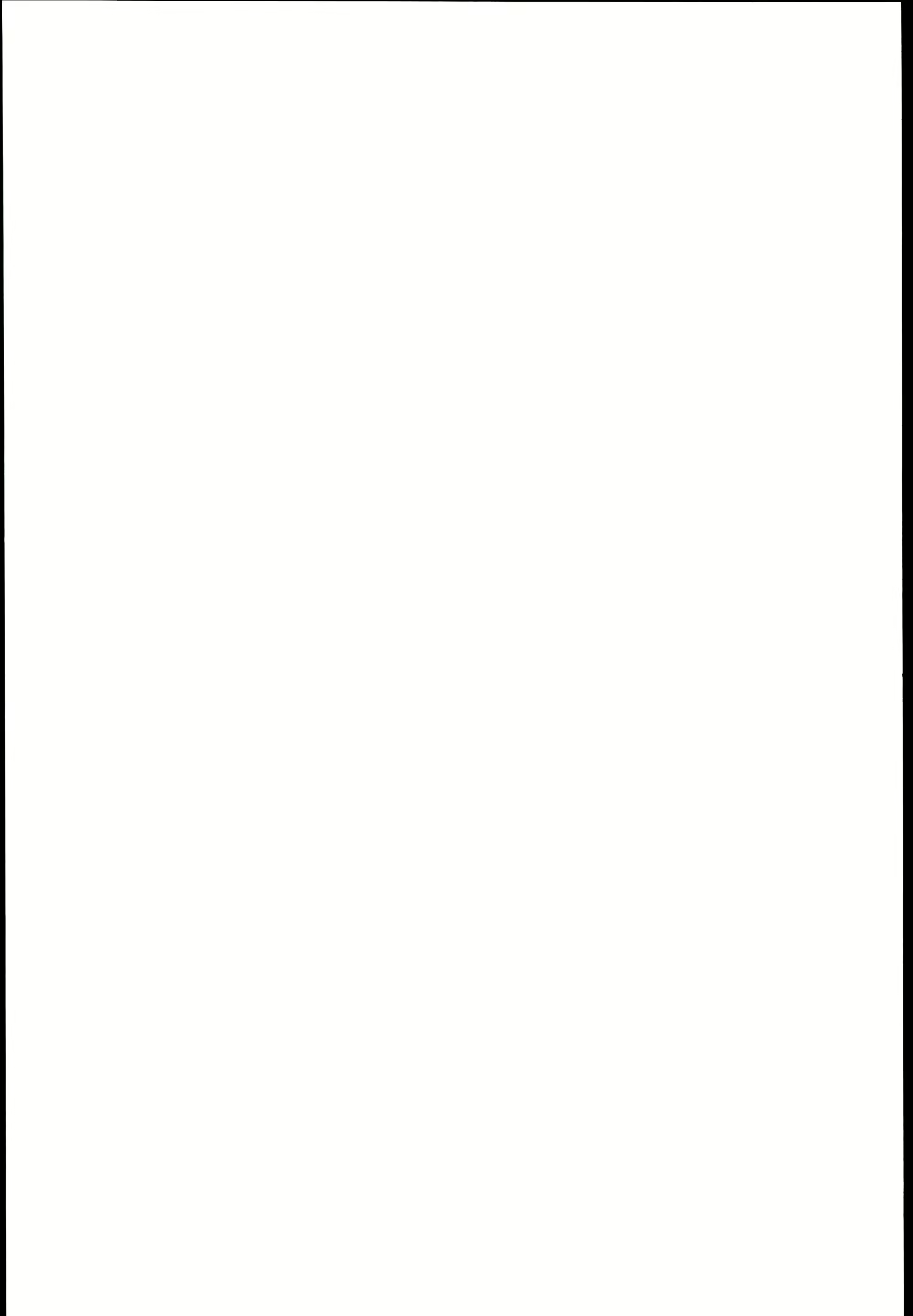 Content 1095173 - 3 페이지