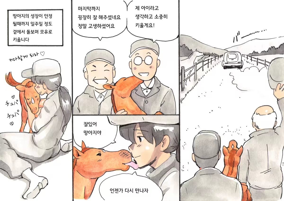 Content 1100449 - 45 페이지