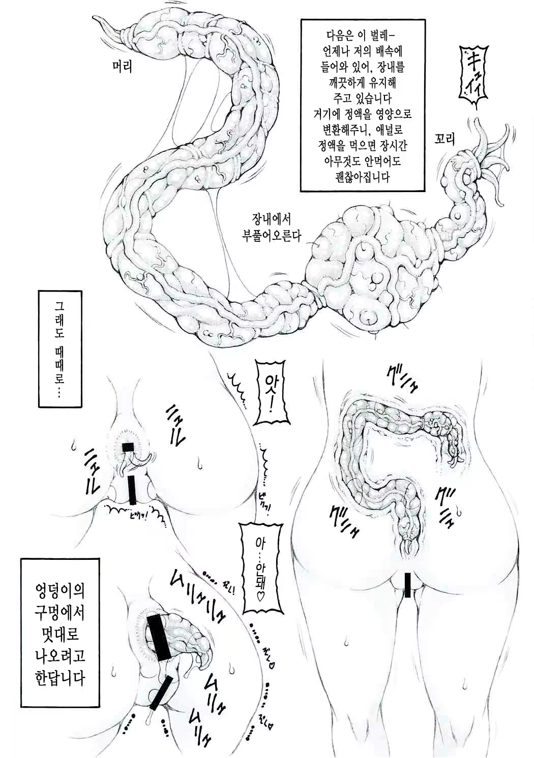 Content 1114777 - 13 페이지