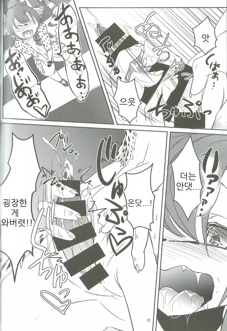 Content 1117261 - 22 페이지