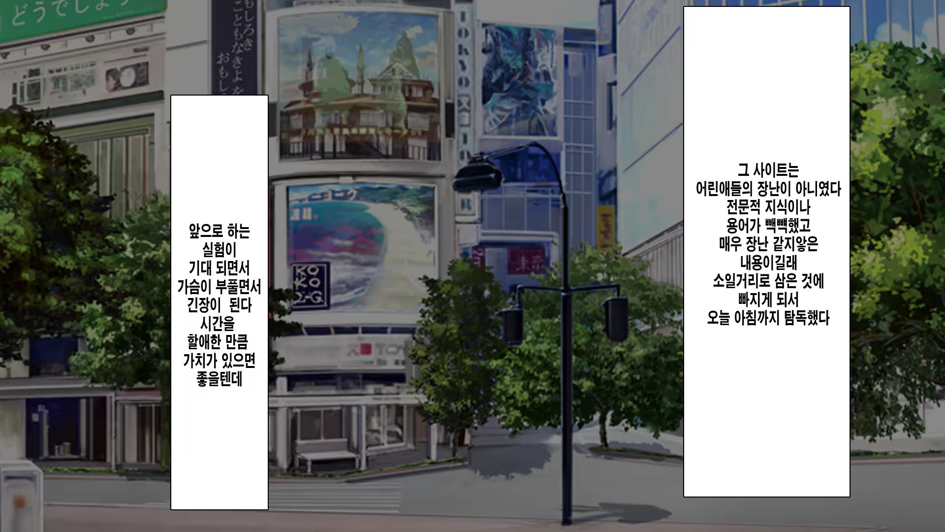 Content 1125594 - 12 페이지