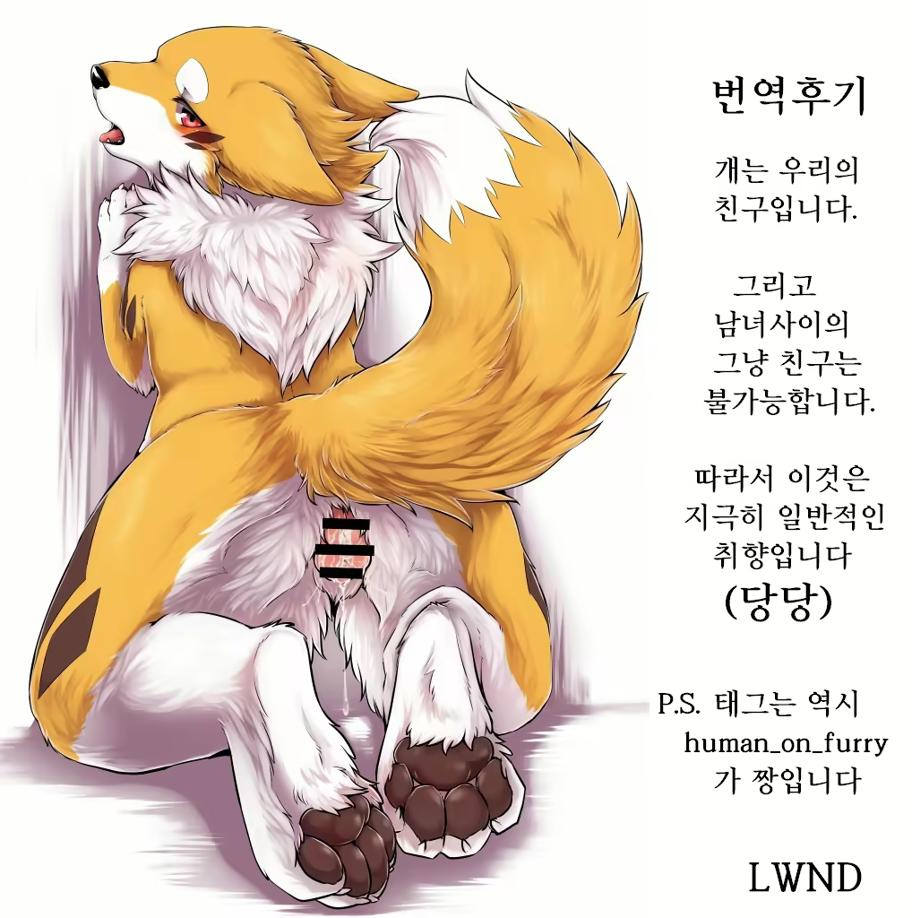 Content 1128621 - 15 페이지