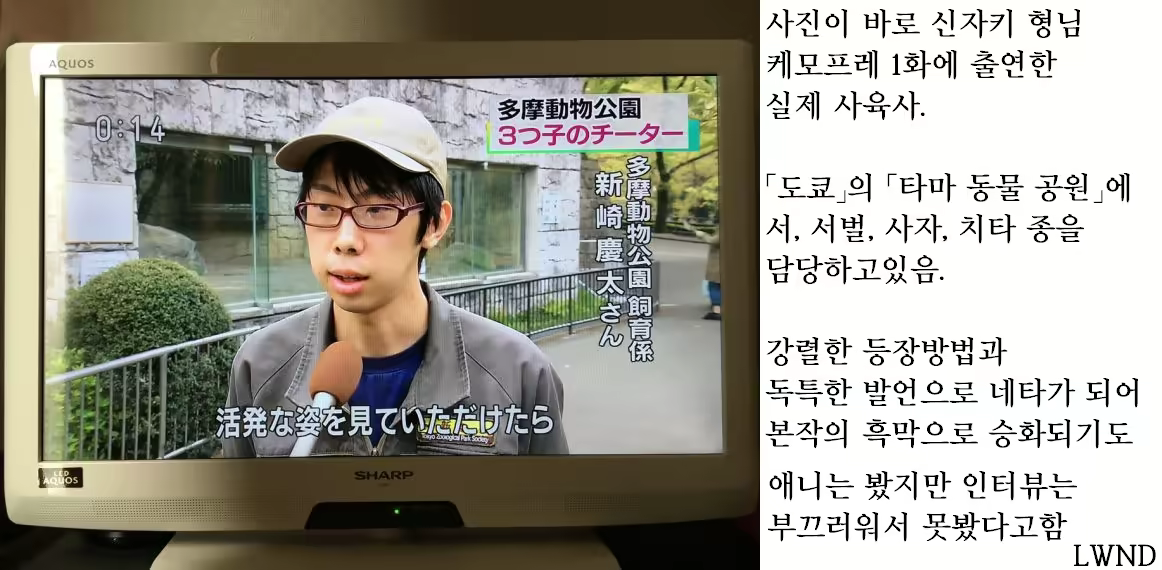 Content 1132197 - 19 페이지