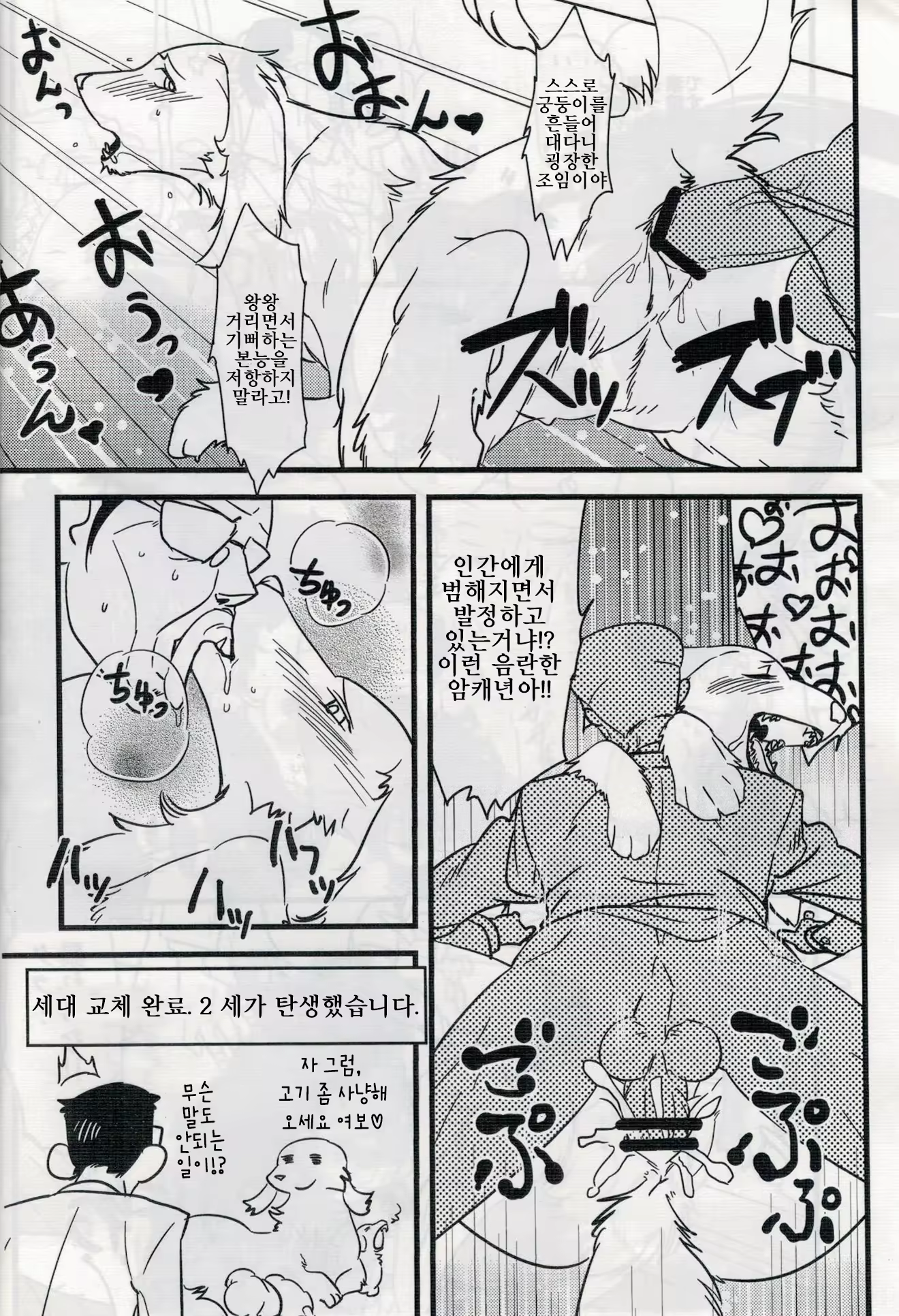 Content 1134730 - 35 페이지