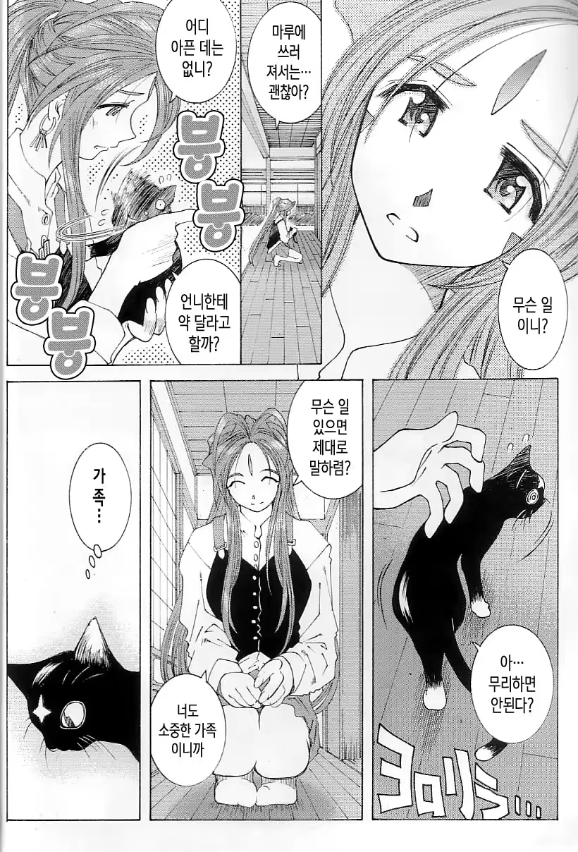 Content 1136368 - 14 페이지