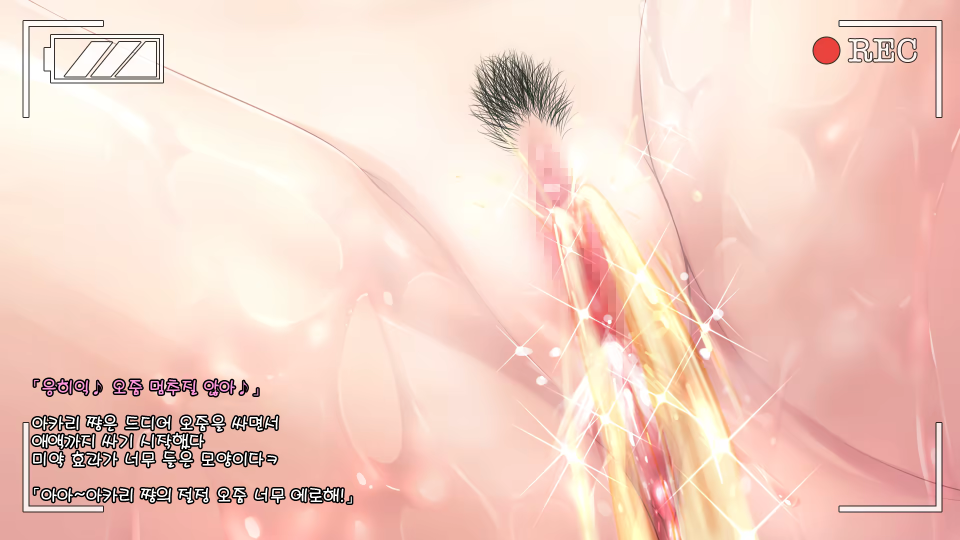 Content 1140559 - 49 페이지