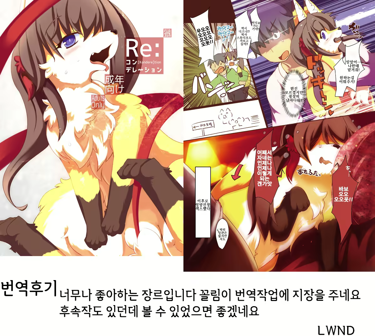 Content 1141034 - 19 페이지