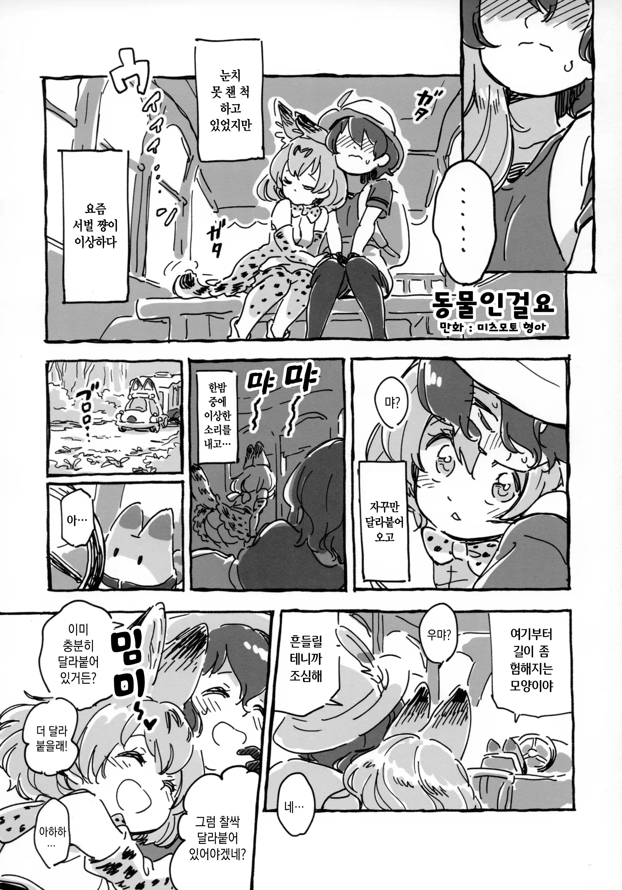 Content 1142426 - 15 페이지