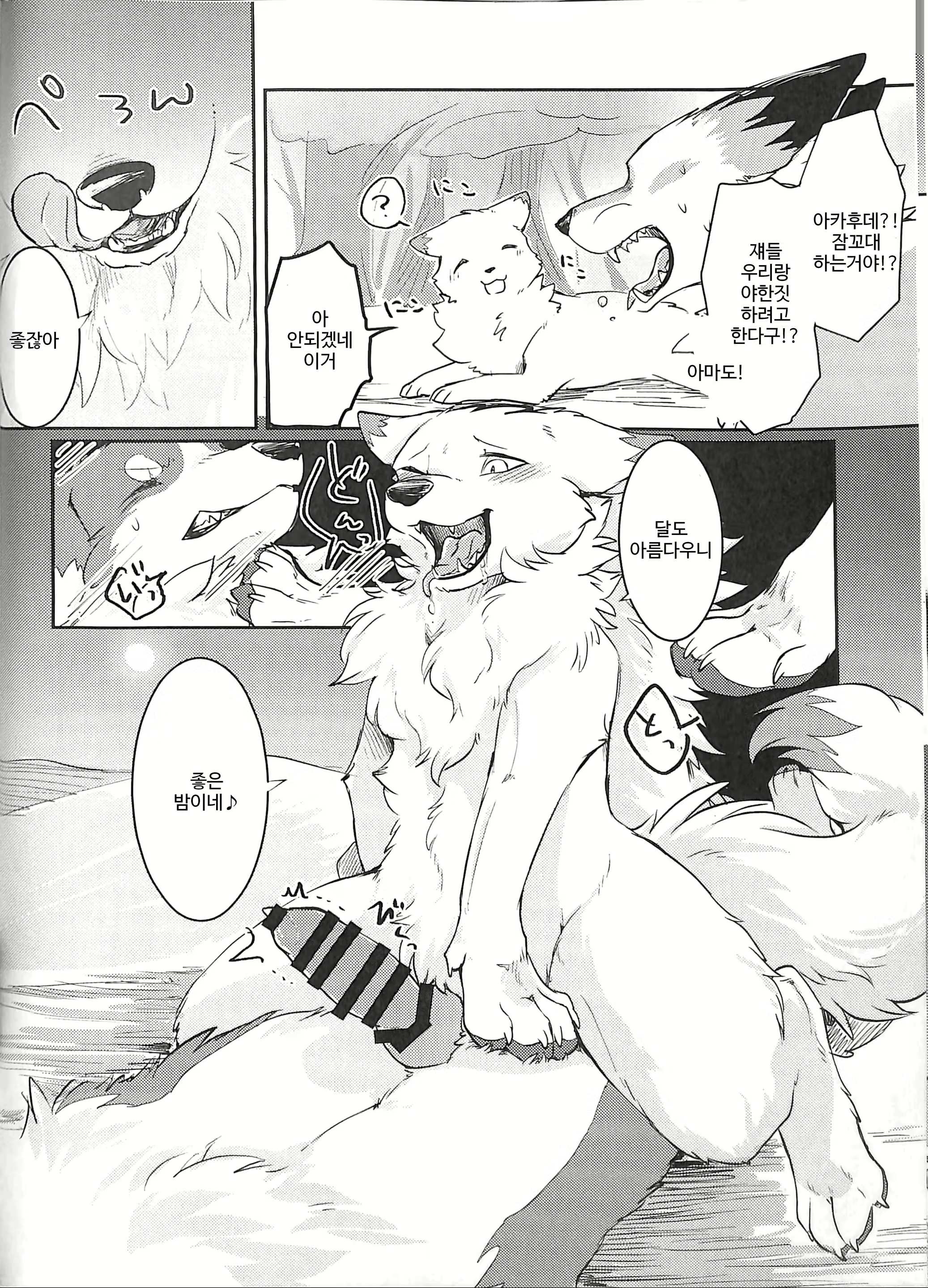 Content 1144819 - 13 페이지