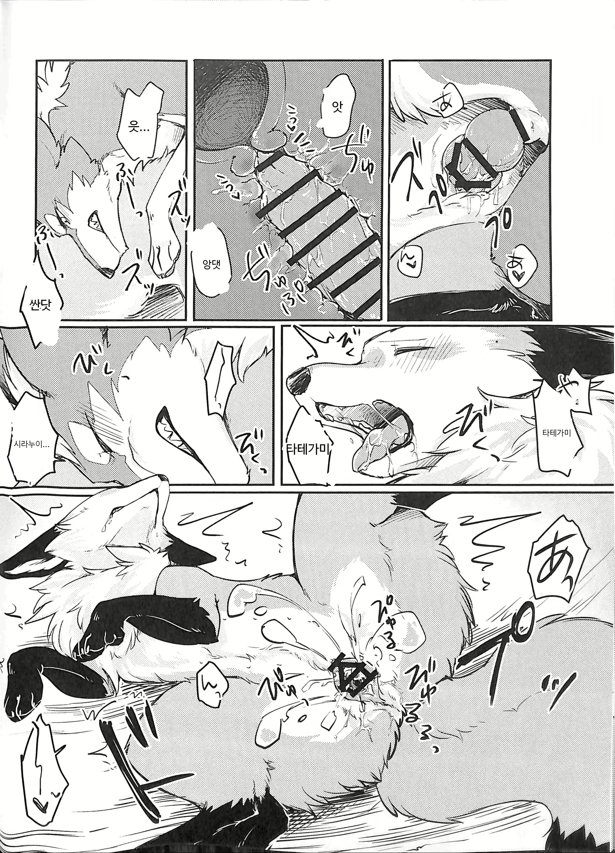 Content 1144819 - 23 페이지