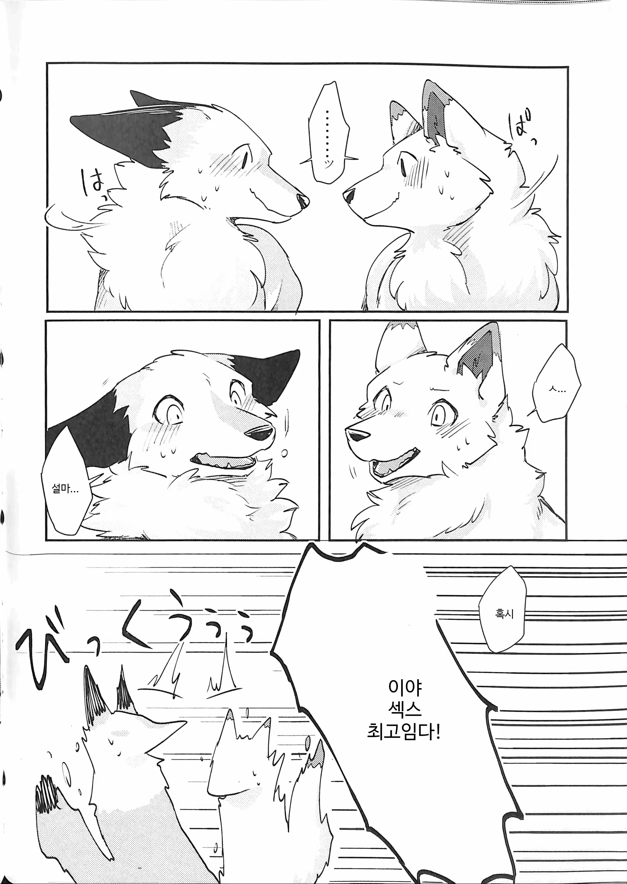 Content 1144819 - 33 페이지