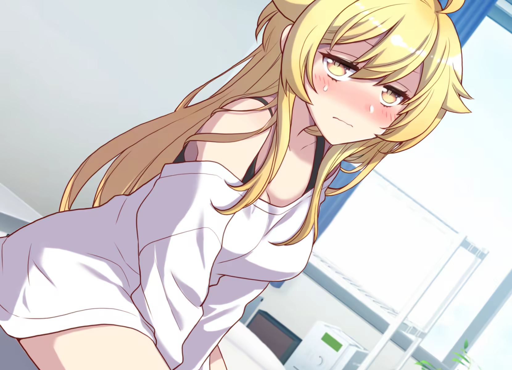 Content 1159246 - 263 페이지