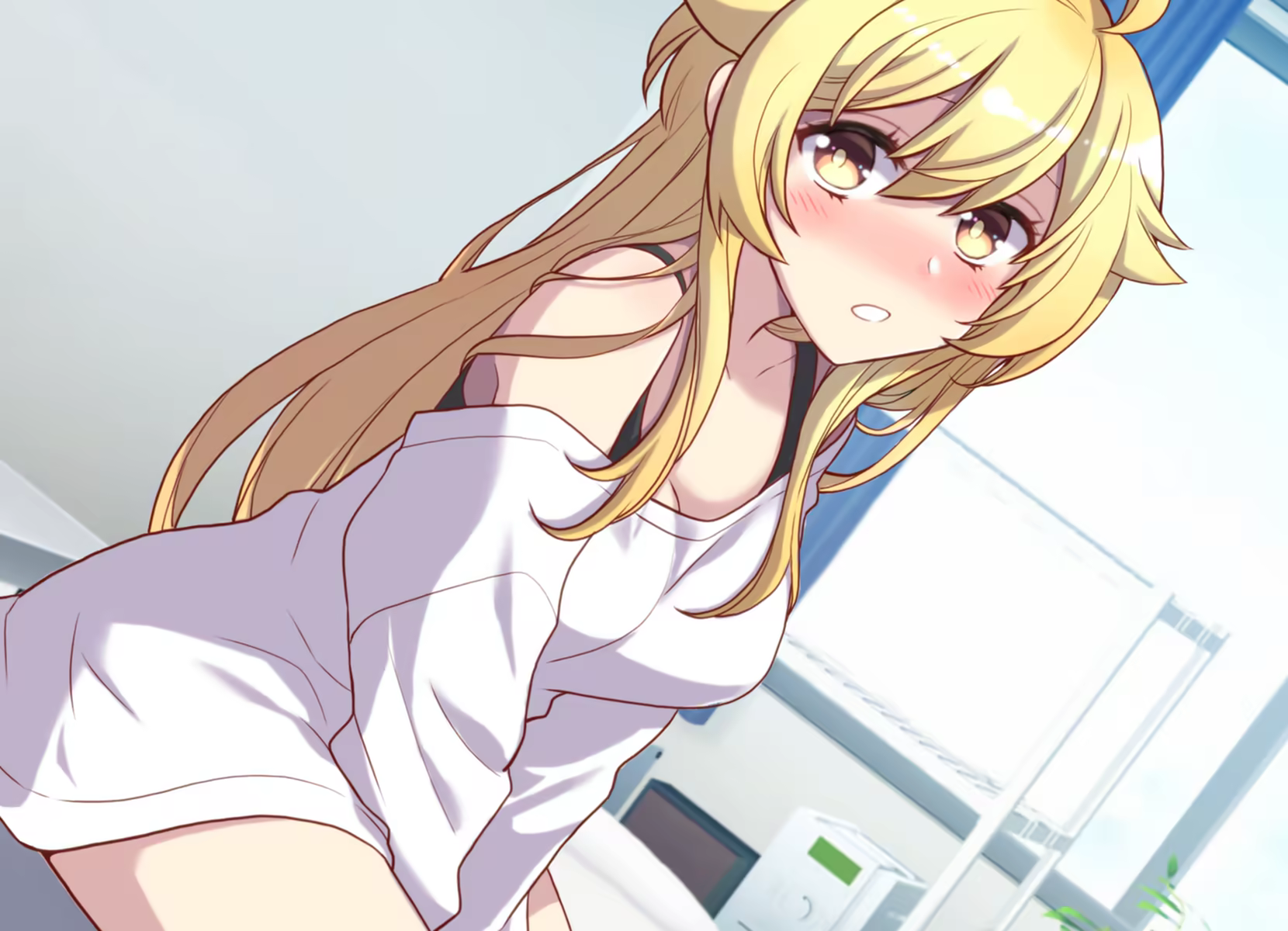Content 1159246 - 264 페이지