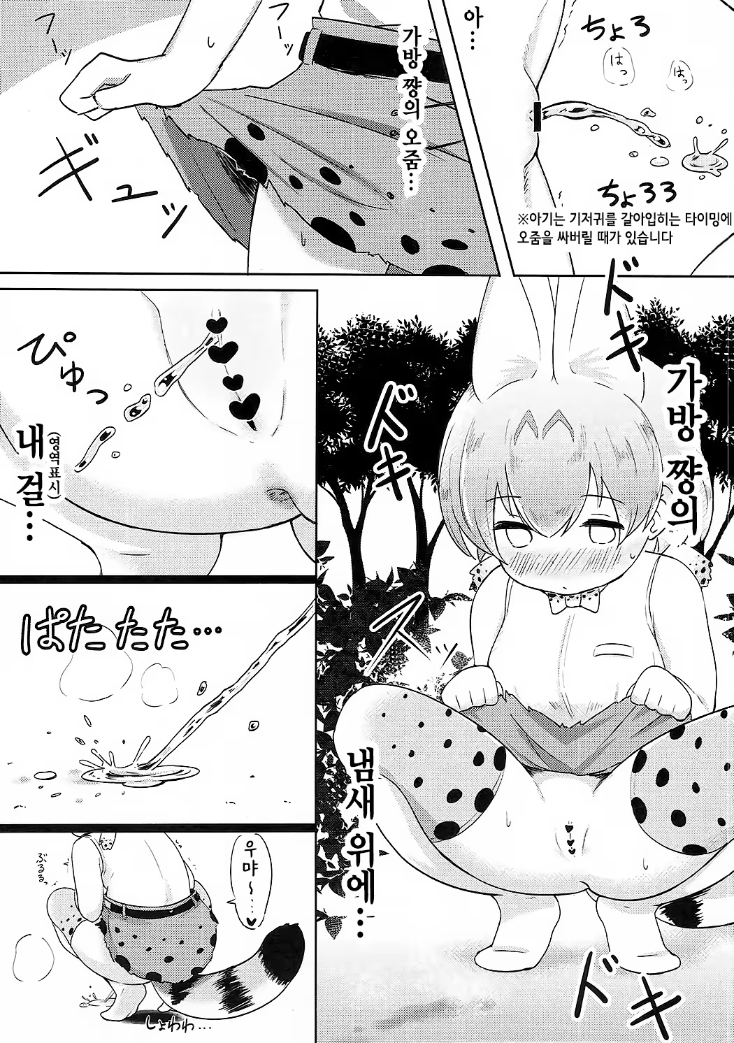Content 1161495 - 13 페이지