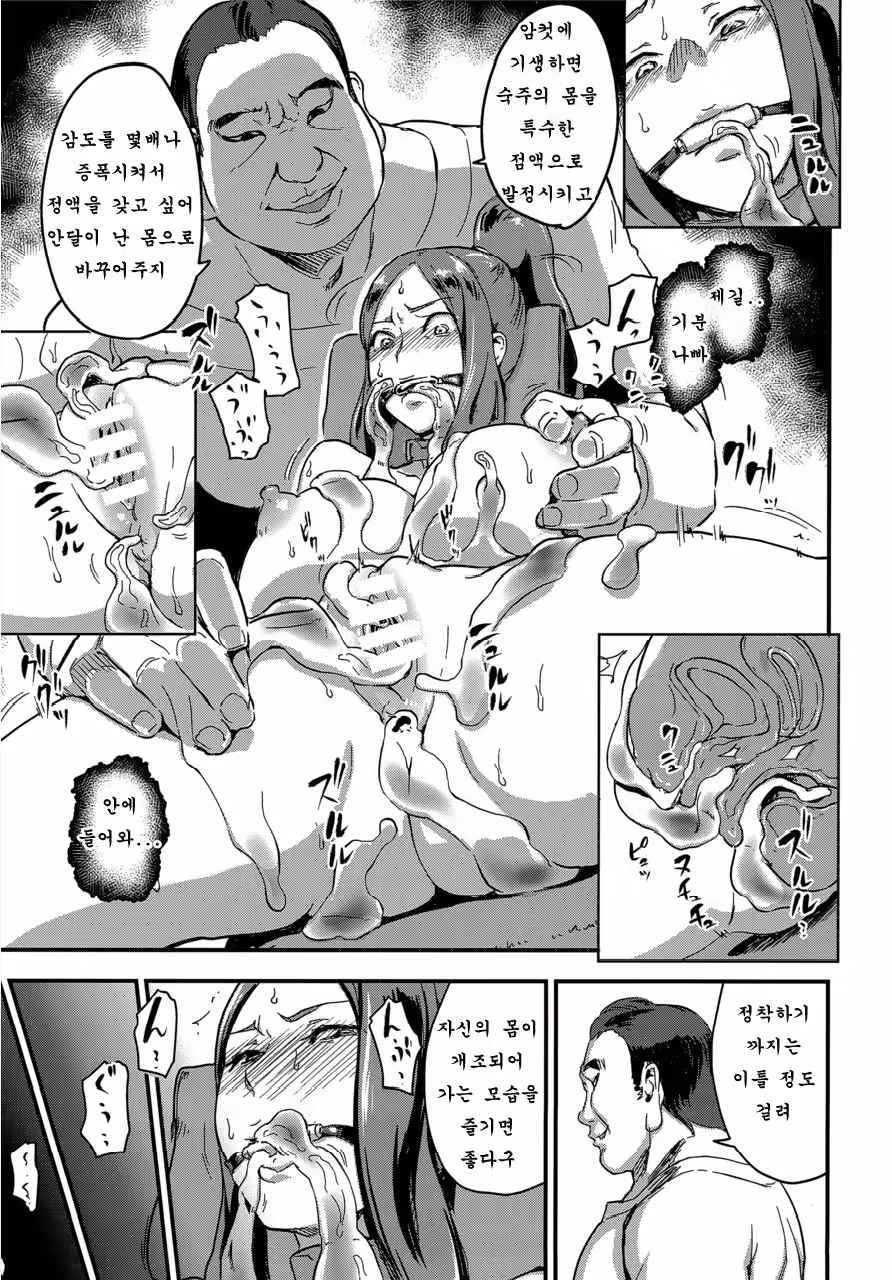 Content 1162548 - 13 페이지