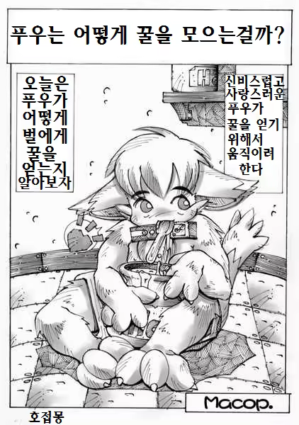 Content 1163063 - 1 페이지