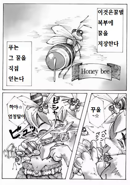 Content 1163063 - 2 페이지