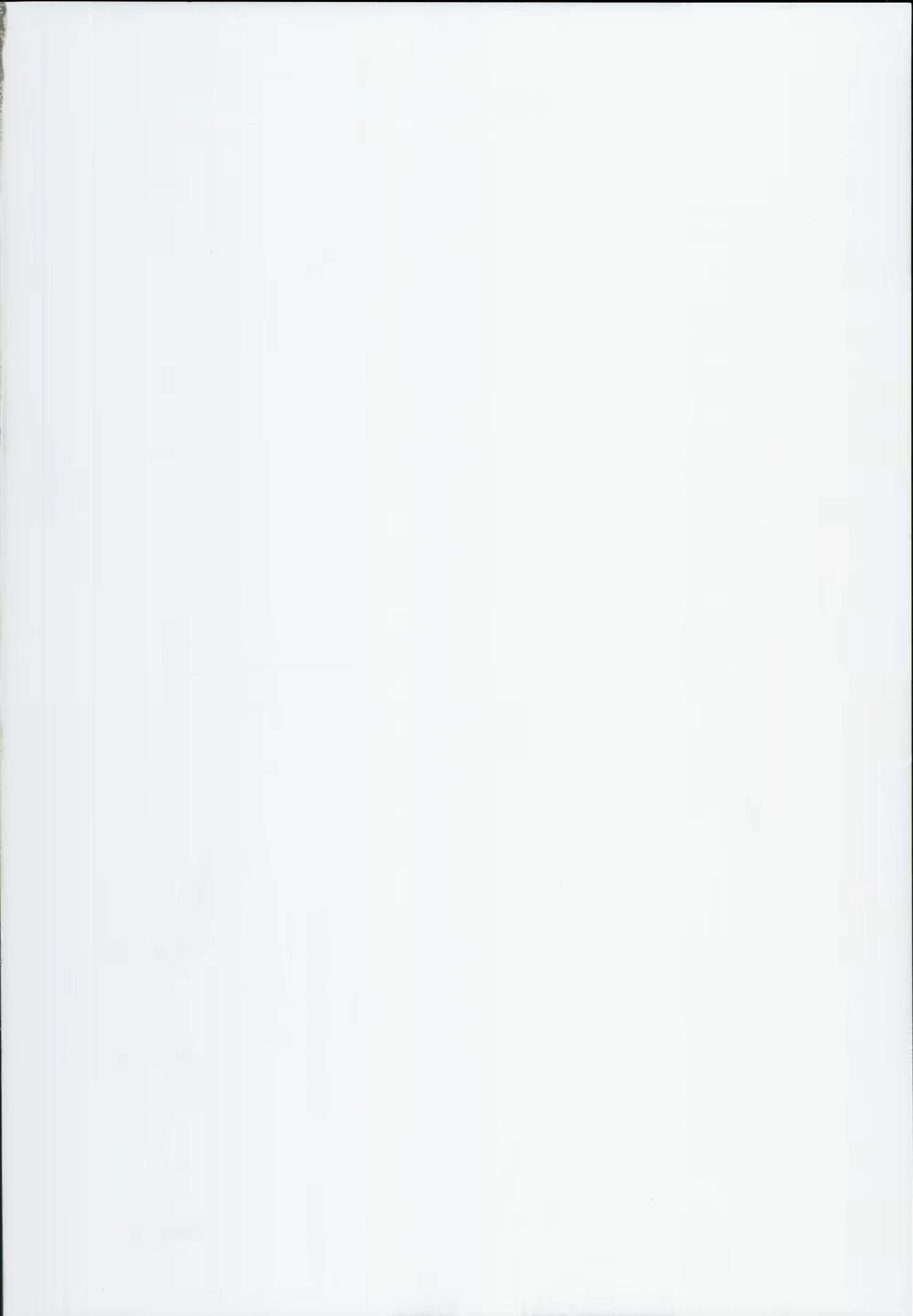 Content 1163335 - 2 페이지