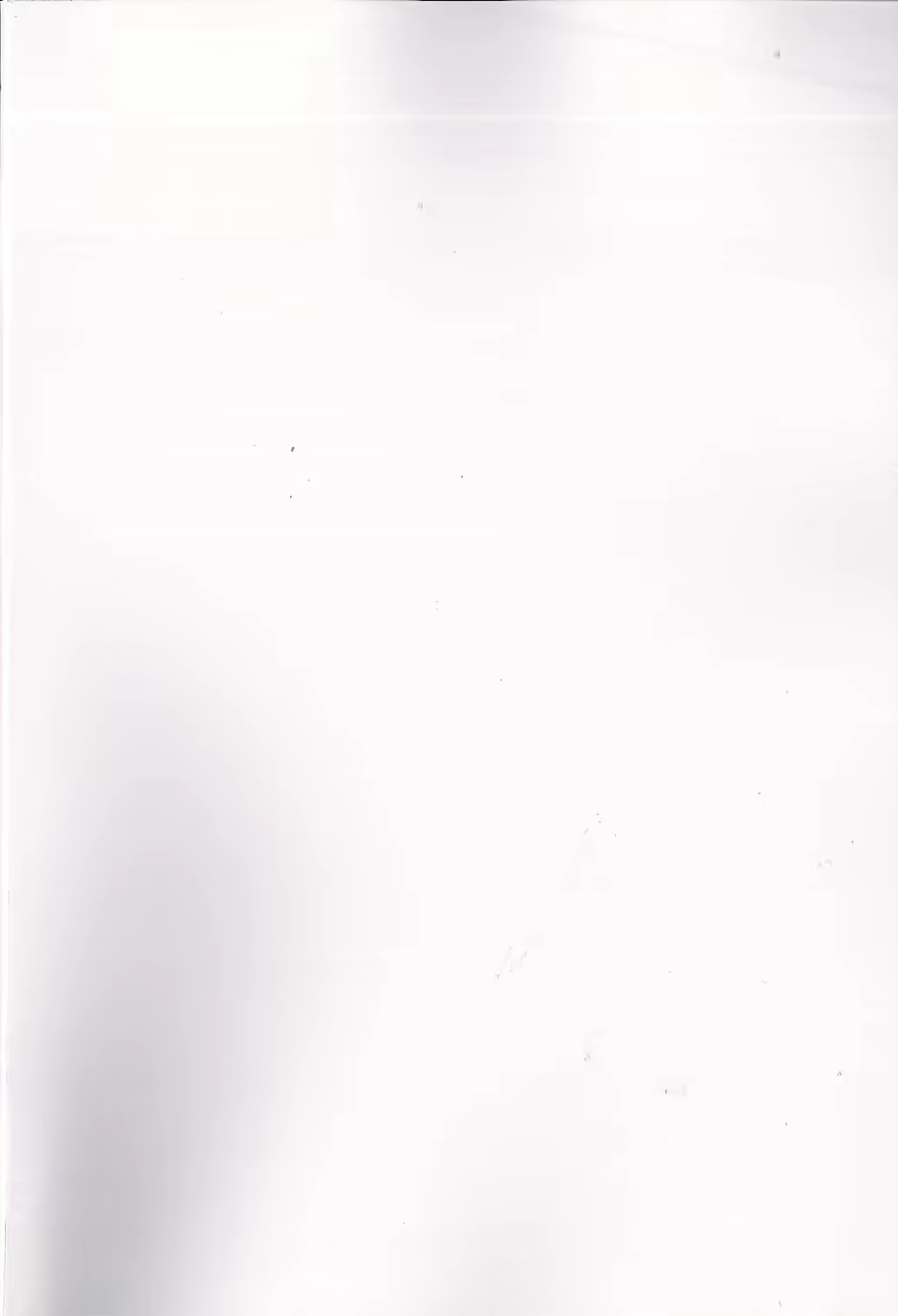 Content 1167373 - 3 페이지