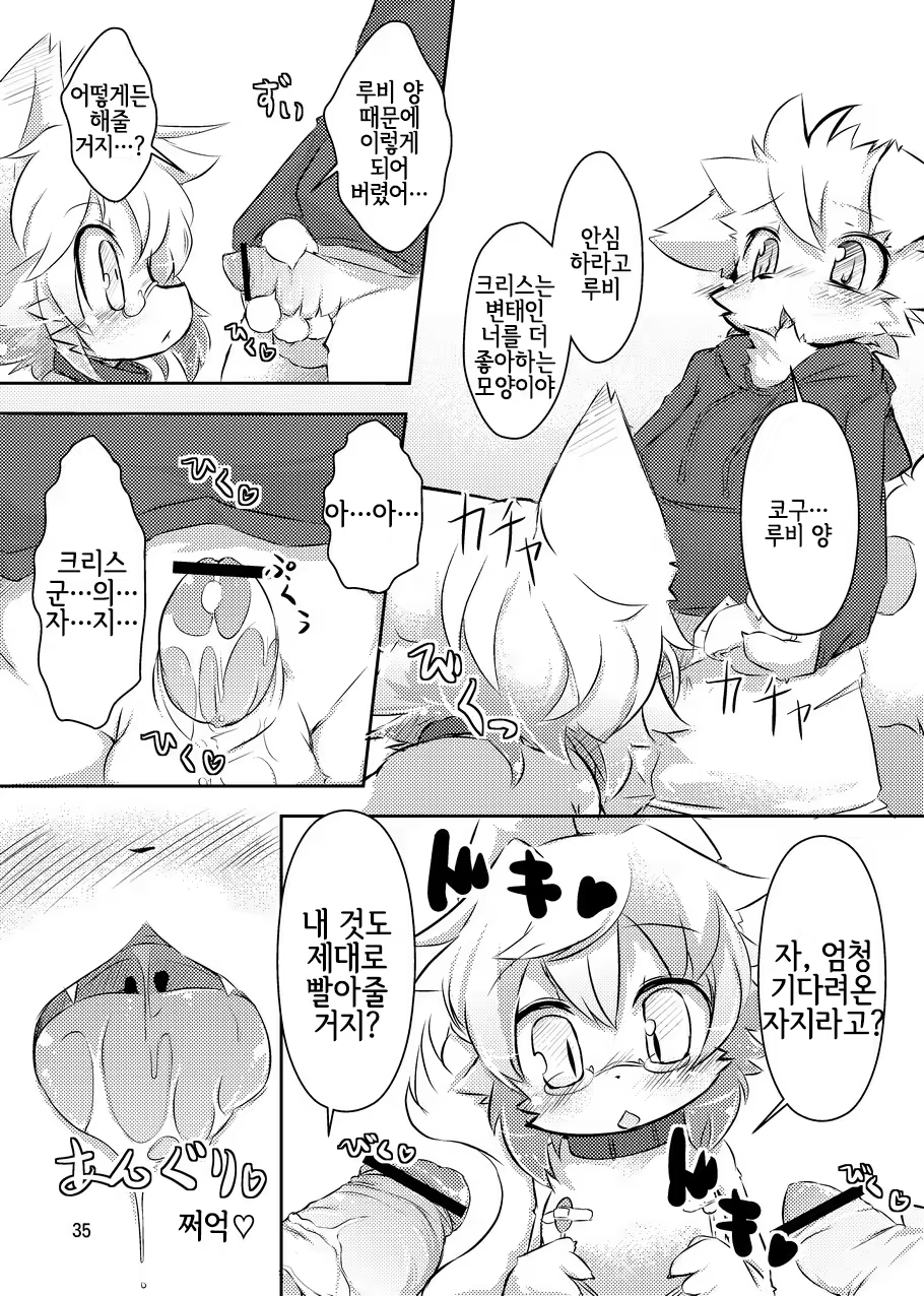 Content 1168466 - 34 페이지