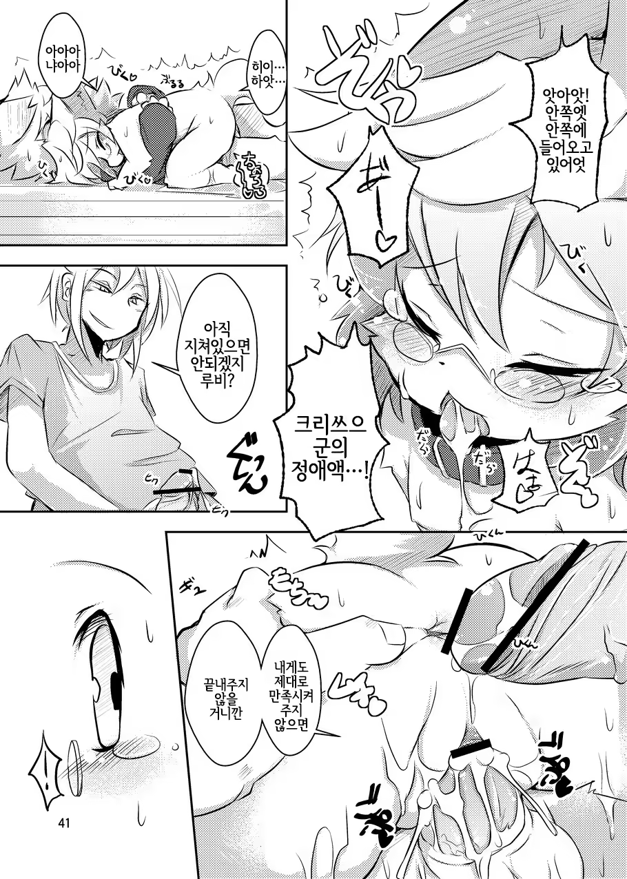 Content 1168466 - 40 페이지