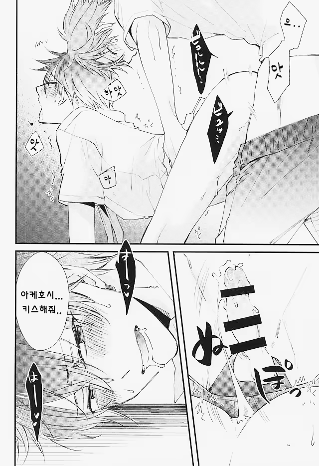 Content 1168827 - 13 페이지