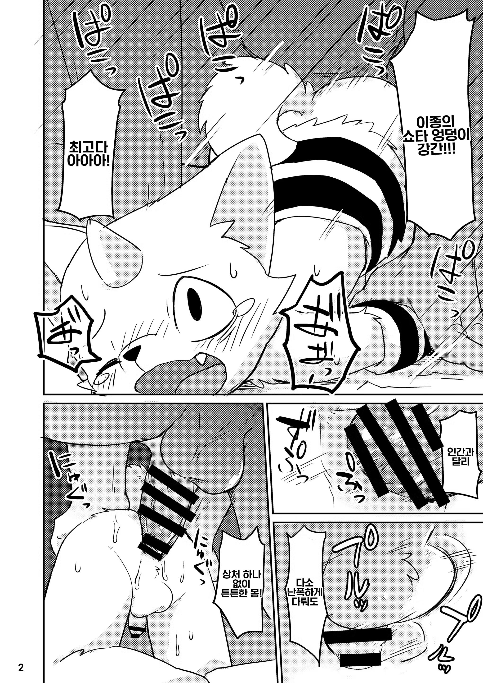 Content 1170282 - 3 페이지