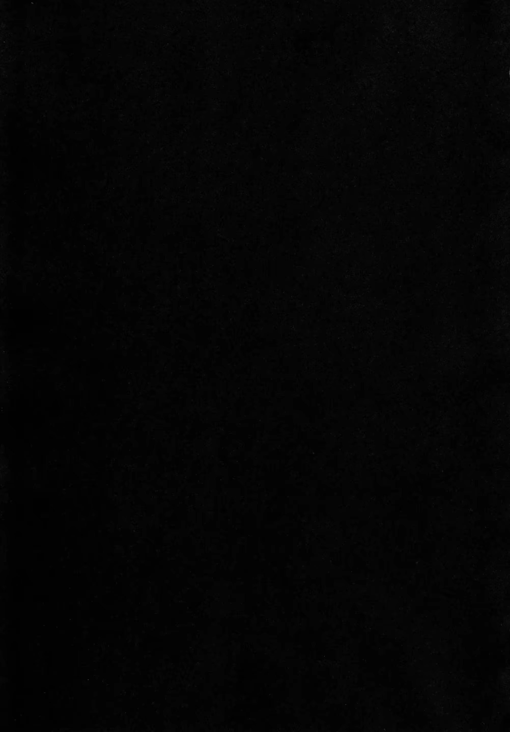 Content 1171247 - 24 페이지
