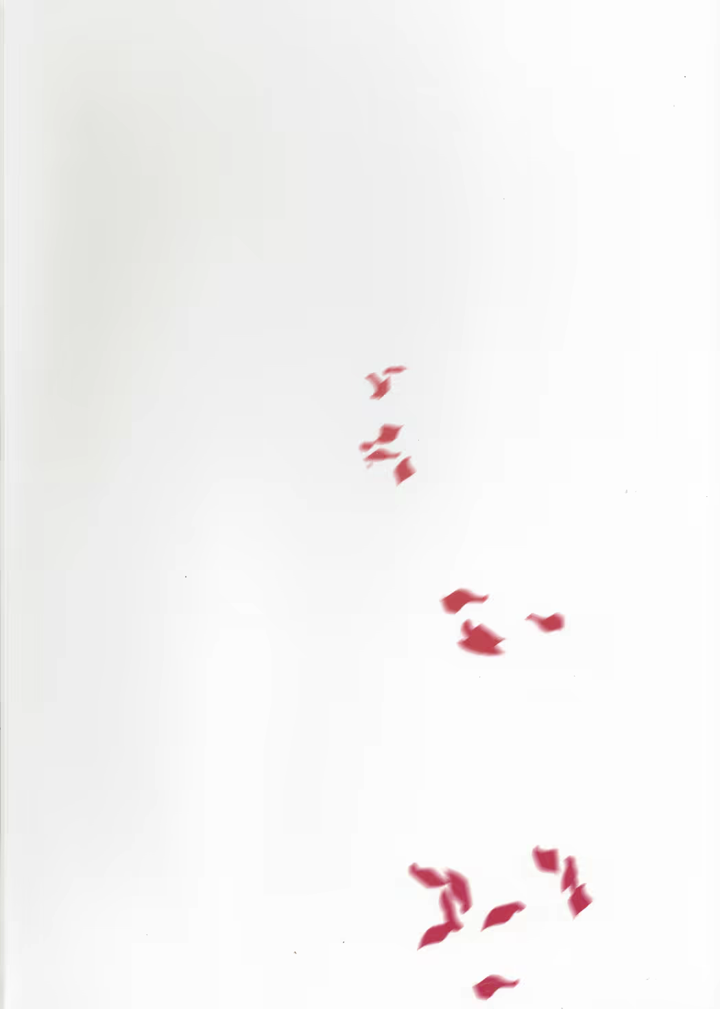 Content 1182112 - 35 페이지