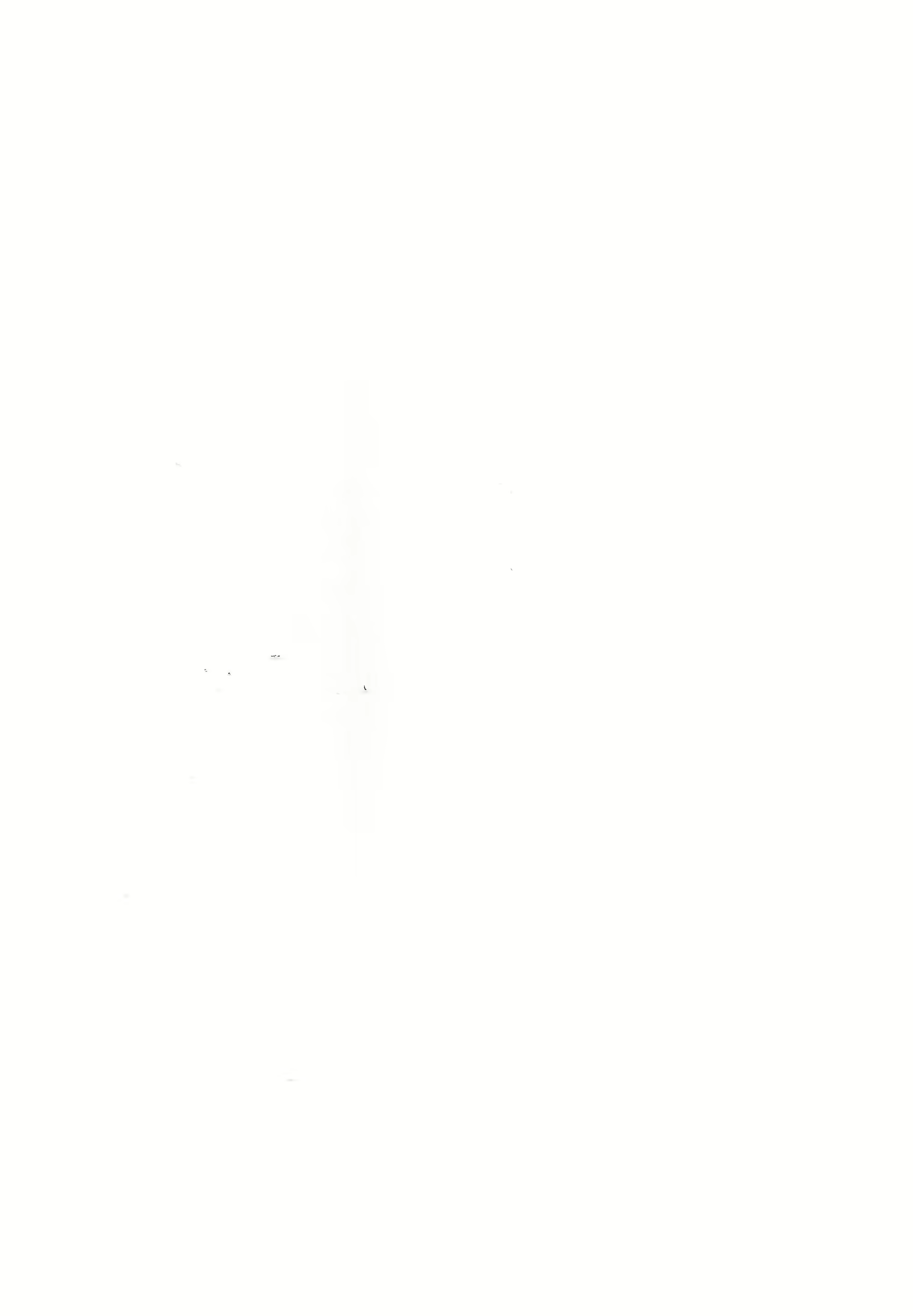 Content 1186816 - 29 페이지